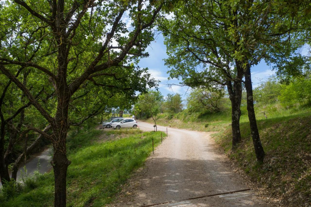 Villa La Coccola Poggibonsi Zewnętrze zdjęcie